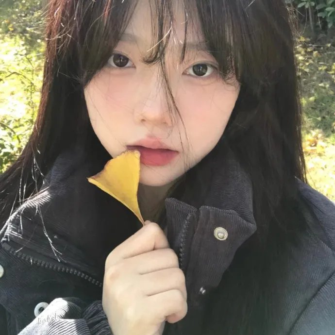 蝴蝶夫人的现代家庭